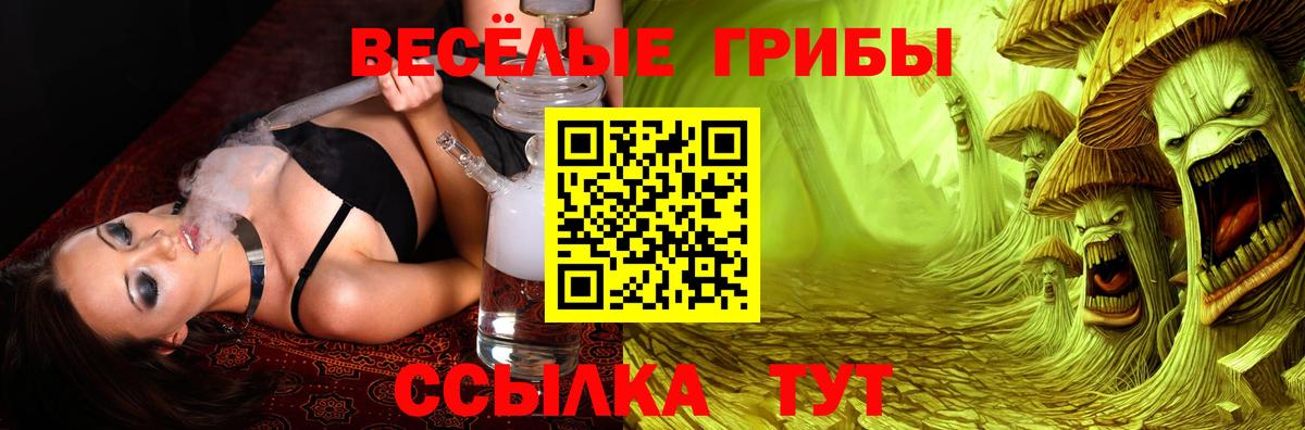 Псилоцибиновые грибы GOLDEN TEACHER Усолье-Сибирское