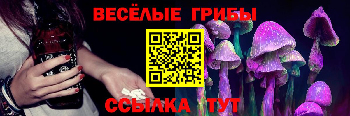 Галлюциногенные грибы Psilocybine cubensis  закладки  Усолье-Сибирское  Вход с VPN 